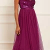 Tempest Bodice Cami Ballerina Dress